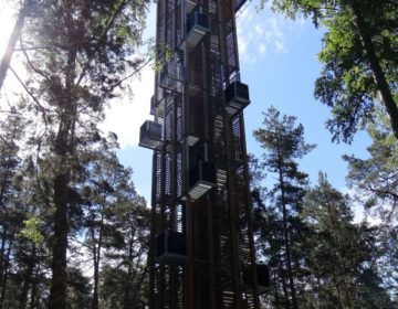 7 Signs Your Website is Boring