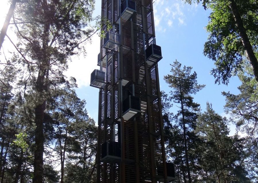 7 Signs Your Website is Boring